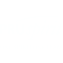 Logo 8517319